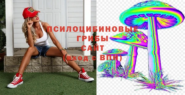 бутик Бородино