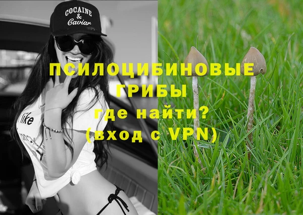 бутик Бородино
