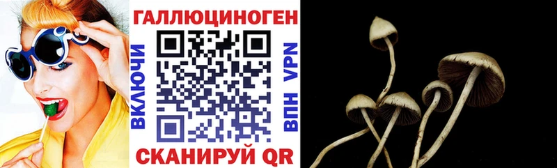 Галлюциногенные грибы ЛСД  Велиж 